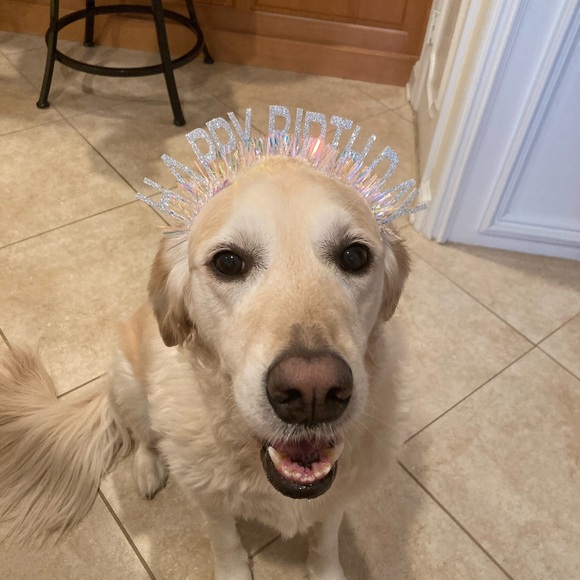 LoveMonkey Birthday Celebration Show - Sunday 2/1 @ 2:00 EST - Picture 8 of 10